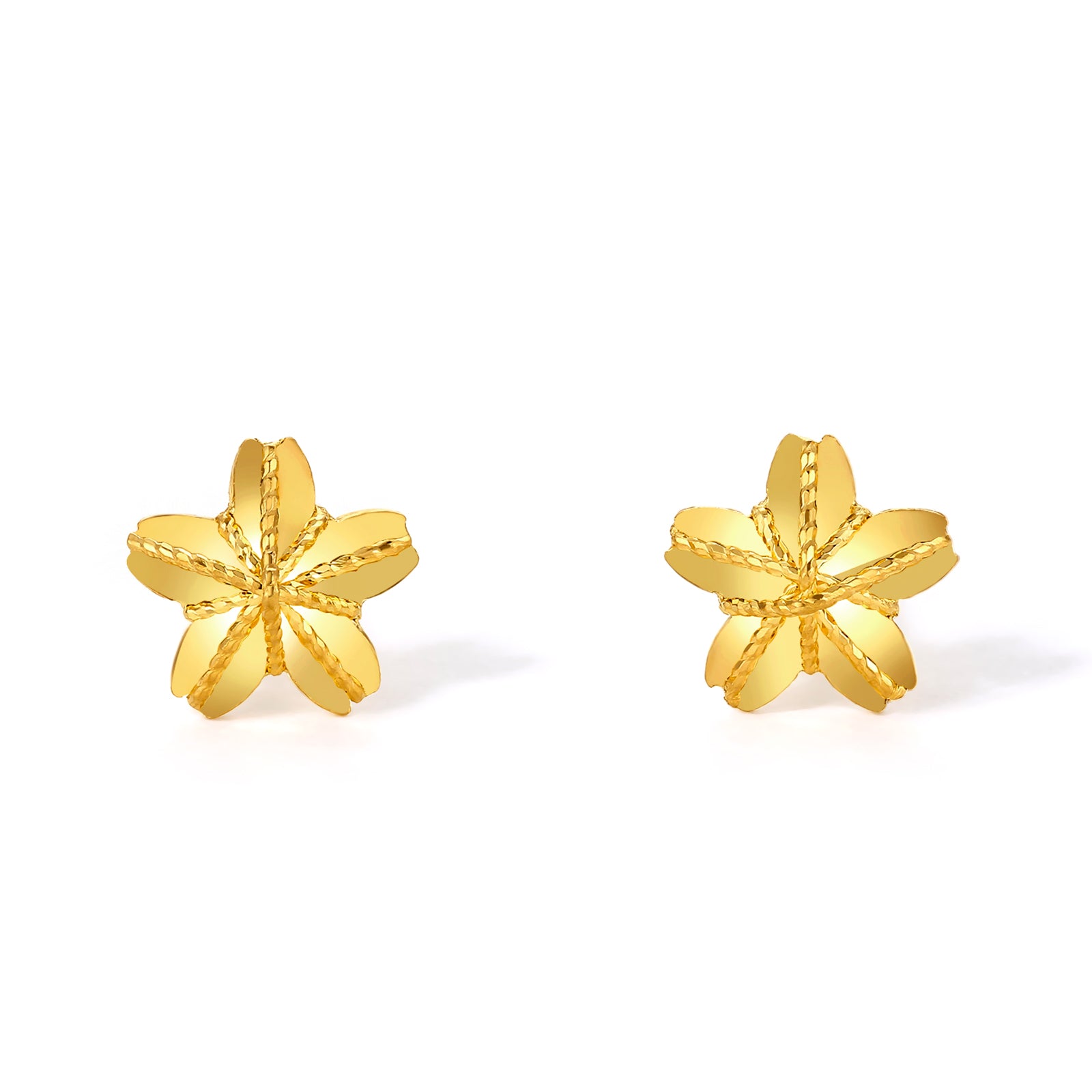 "Infinite" 24K Gold Earrings Star 0.81-1.11g A0910862